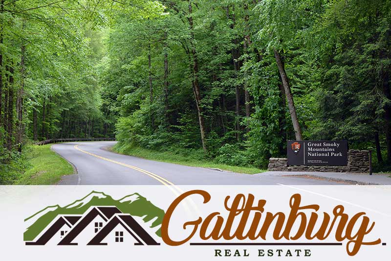 Gatlinburg Real Estate logo with Smoky Mountains image