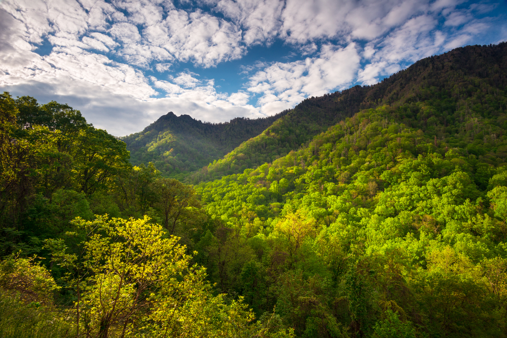 Beautiful photo of the mountains near Gatlinburg and Pigeon Forge.