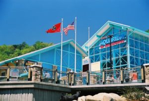 Ripley's Aquarium of the Smokies in Gatlinburg TN.