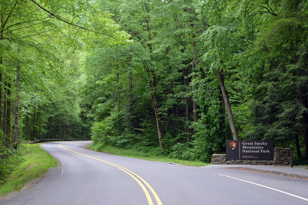 Road entering the Great Smoky Mountains National Park.